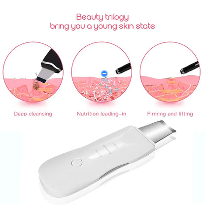 GlowBoost Facial Cleansing Device