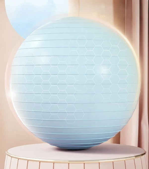 Comfort Balance Fitness Ball